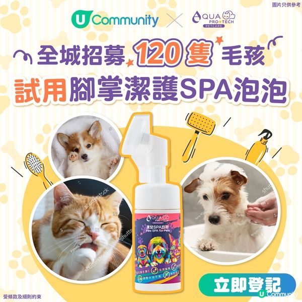 5間中環西式週末brunch推介🍳| 任食生蠔／意式前菜／情調一流💕