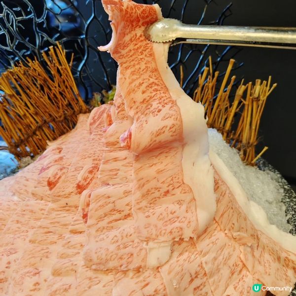 尖沙咀 ︳來湊湊