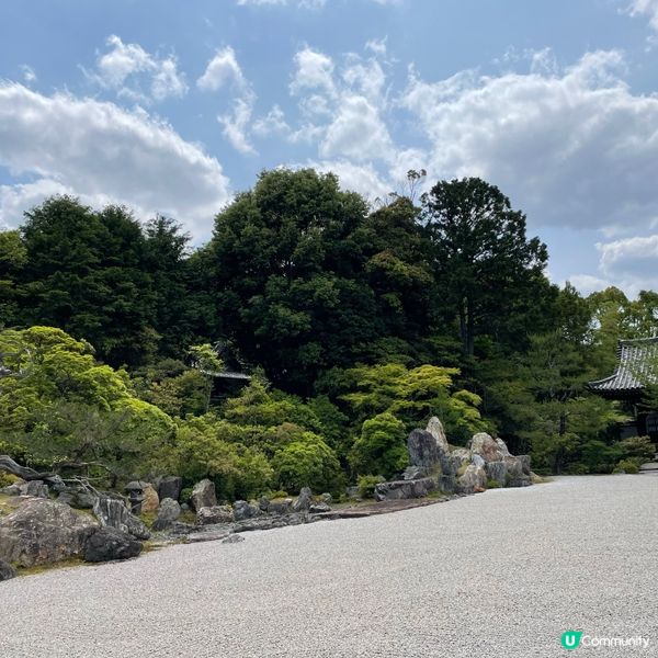 🇯🇵枯山水 日式庭園 鶴亀の庭 