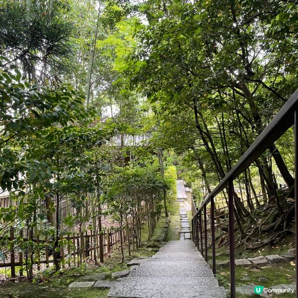 🇯🇵枯山水 日式庭園 鶴亀の庭 