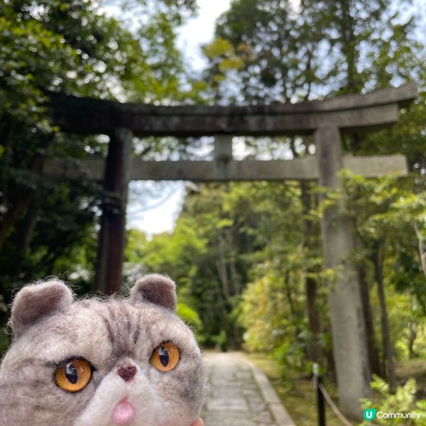 🇯🇵枯山水 日式庭園 鶴亀の庭 