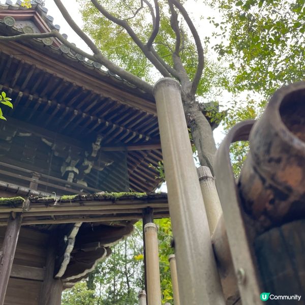 🇯🇵枯山水 日式庭園 鶴亀の庭 