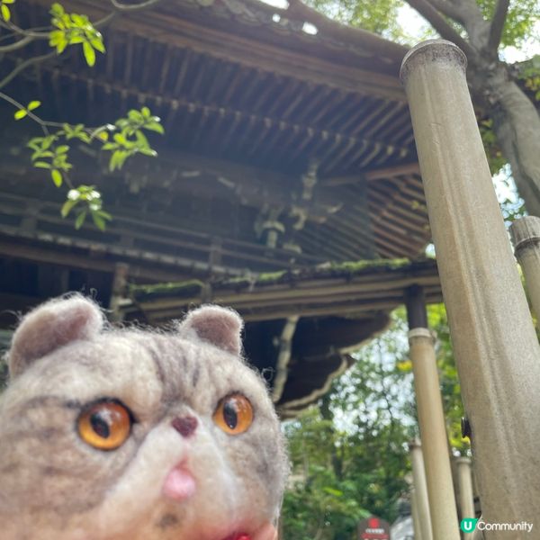 🇯🇵枯山水 日式庭園 鶴亀の庭 