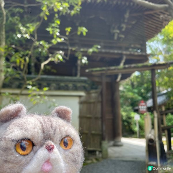 🇯🇵枯山水 日式庭園 鶴亀の庭 