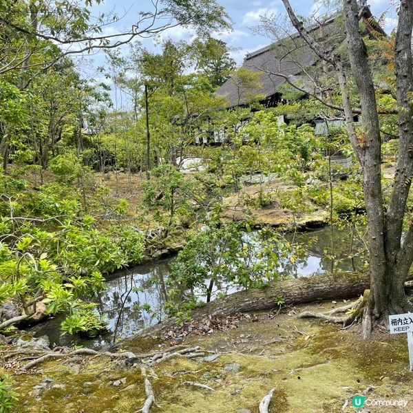 🇯🇵枯山水 日式庭園 鶴亀の庭 