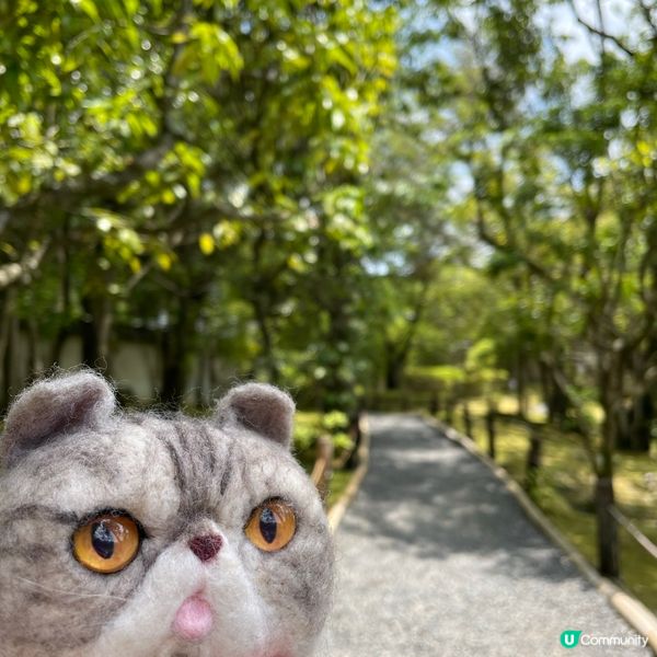 🇯🇵枯山水 日式庭園 鶴亀の庭 