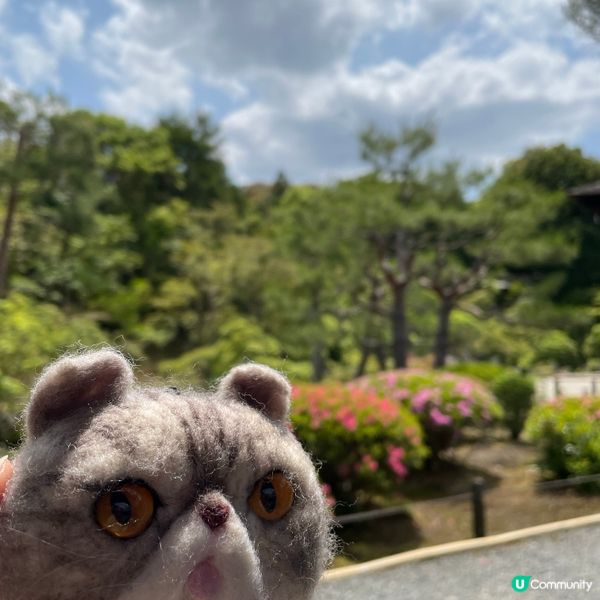 🇯🇵枯山水 日式庭園 鶴亀の庭 