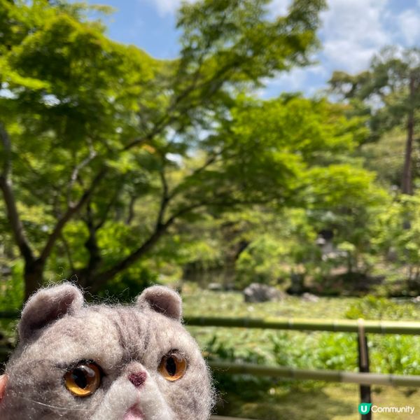 🇯🇵枯山水 日式庭園 鶴亀の庭 