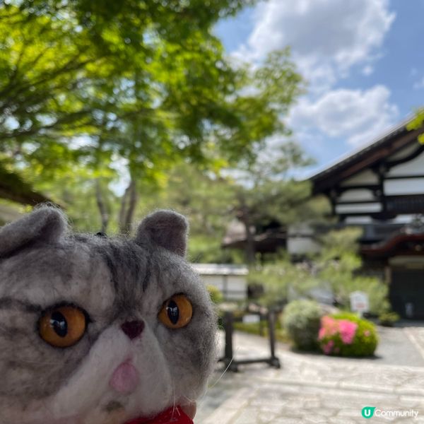 🇯🇵枯山水 日式庭園 鶴亀の庭 