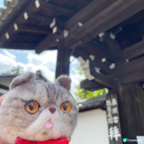 🇯🇵枯山水 日式庭園 鶴亀の庭 