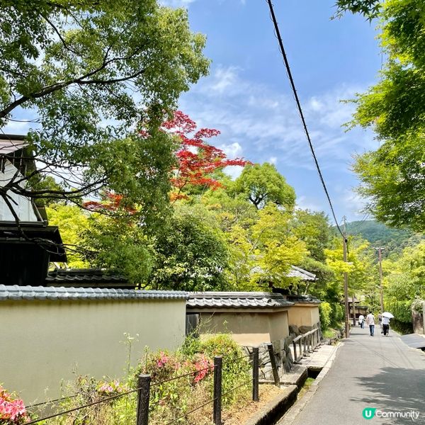 🇯🇵枯山水 日式庭園 鶴亀の庭 