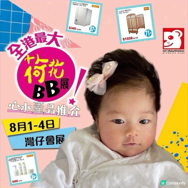 8月1號就係全港最大型荷花BB展…