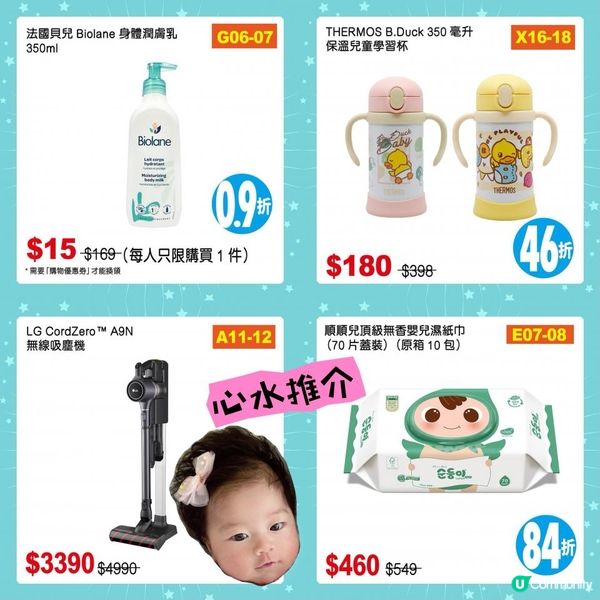 8月1號就係全港最大型荷花BB展…