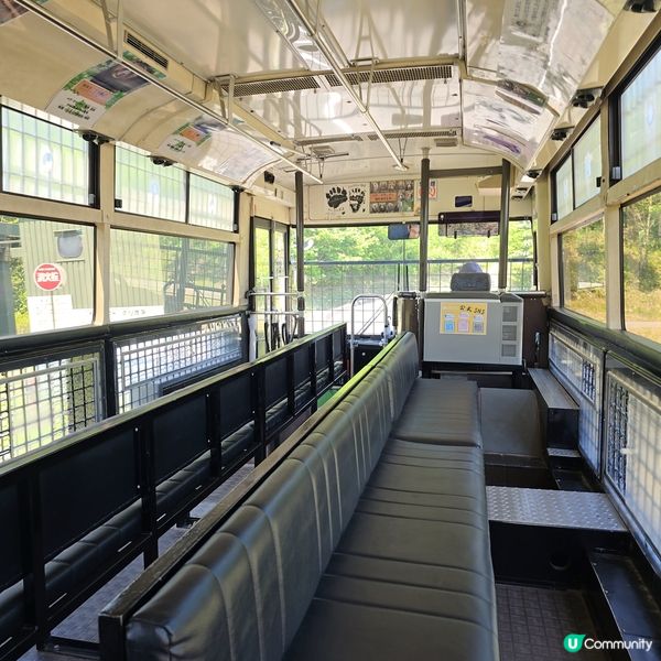 超近距離睇熊仔🤩北海道新得町熊館🐻