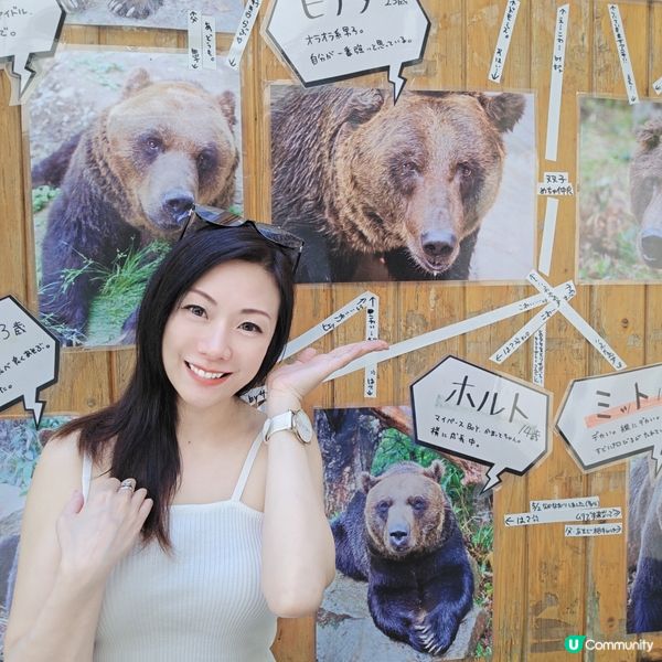 超近距離睇熊仔🤩北海道新得町熊館🐻
