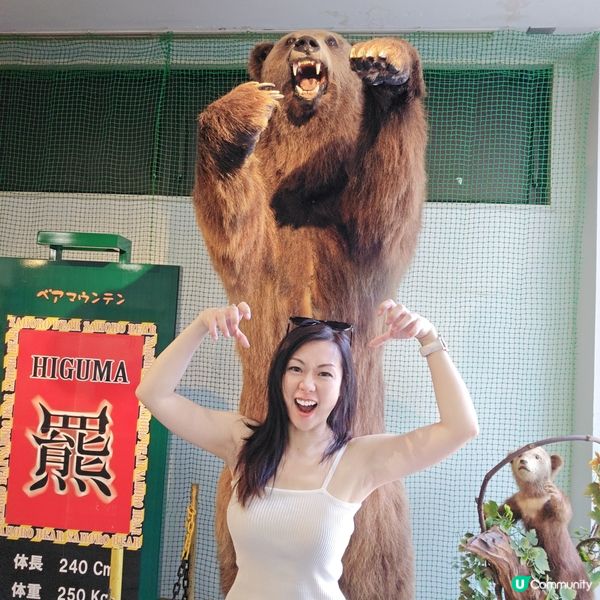 超近距離睇熊仔🤩北海道新得町熊館🐻