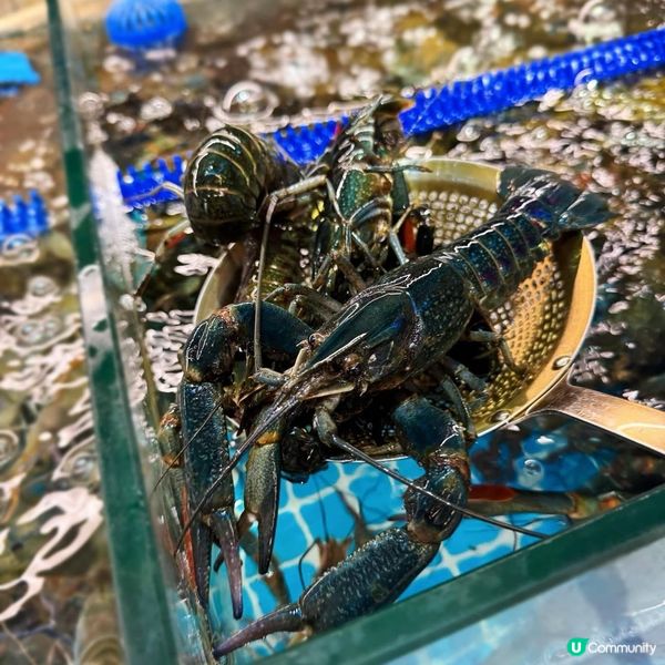 深圳龍華必食放題🦞 269任食海鮮任飲🍻