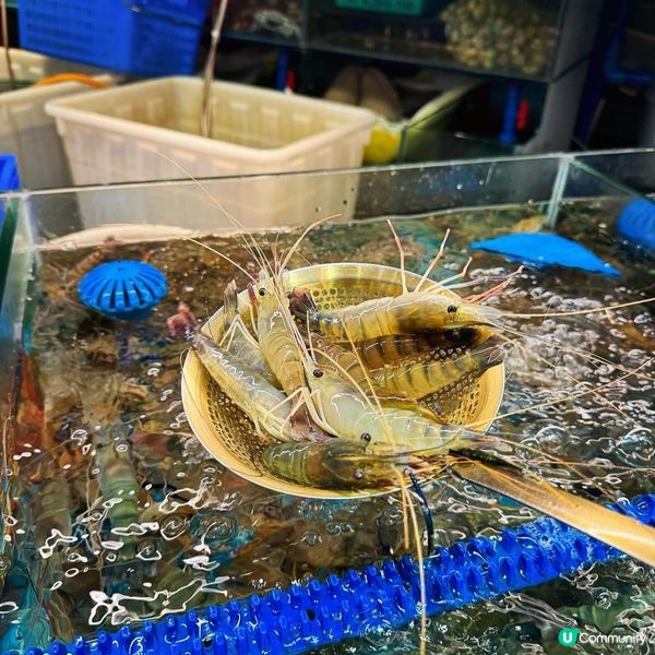 深圳龍華必食放題🦞 269任食海鮮任飲🍻