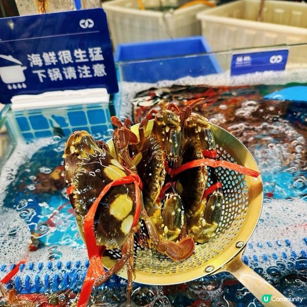 深圳龍華必食放題🦞 269任食海鮮任飲🍻