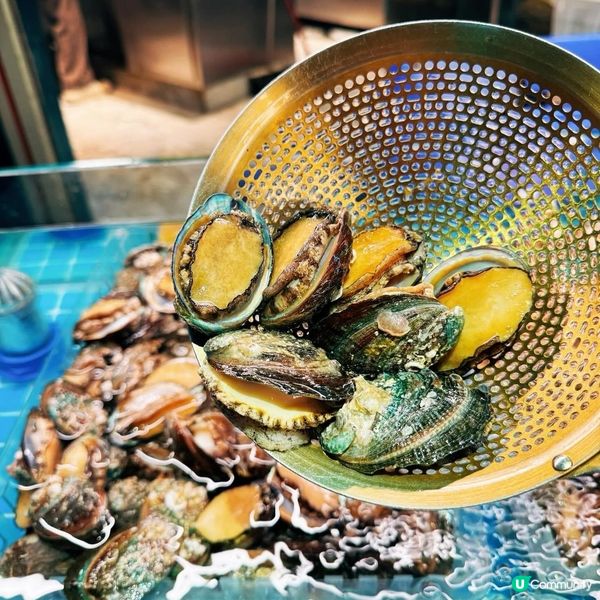 深圳龍華必食放題🦞 269任食海鮮任飲🍻