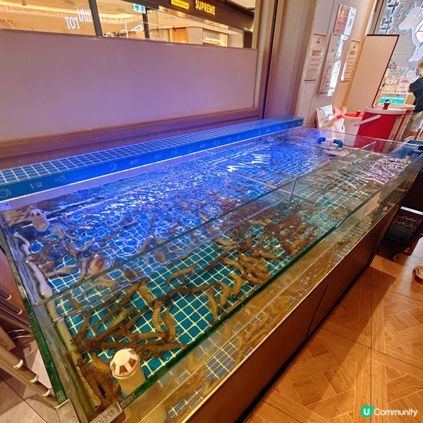 泰式火鍋好正😋