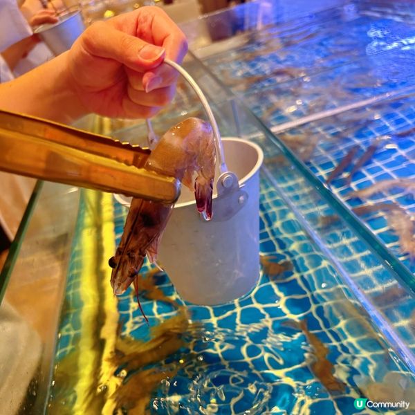 泰式火鍋好正😋