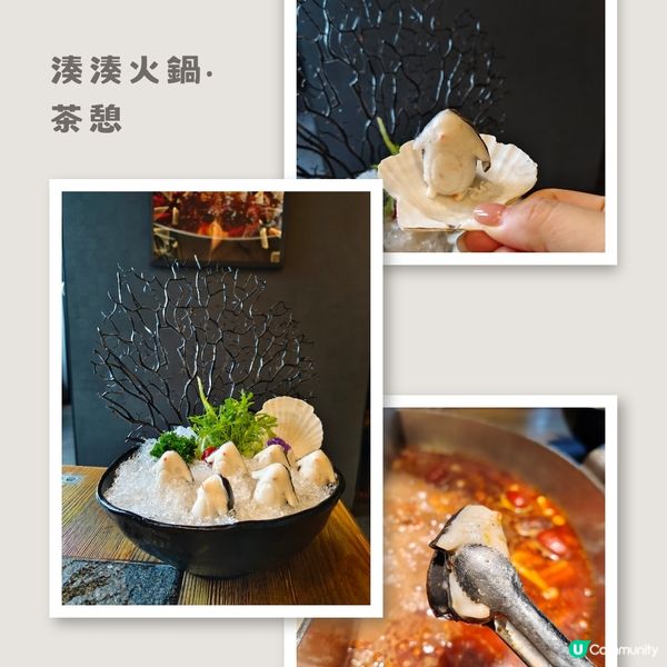 尖沙咀 ︳來湊湊