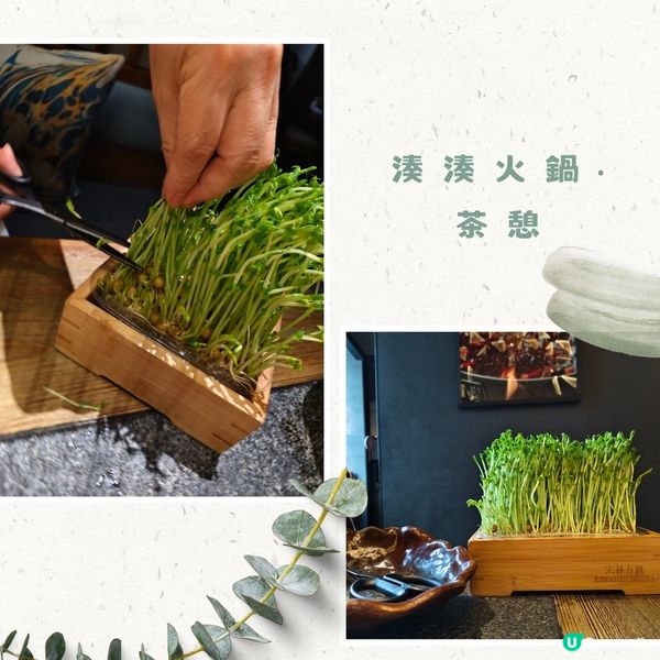 尖沙咀 ︳來湊湊