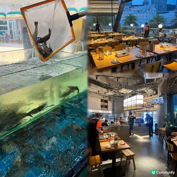 深圳燒烤熱潮🔥