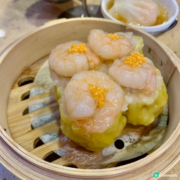 深圳必食點都德😋