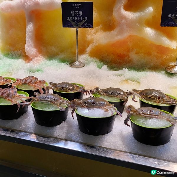 舟市水產海鮮主題自助餐(深圳首店)