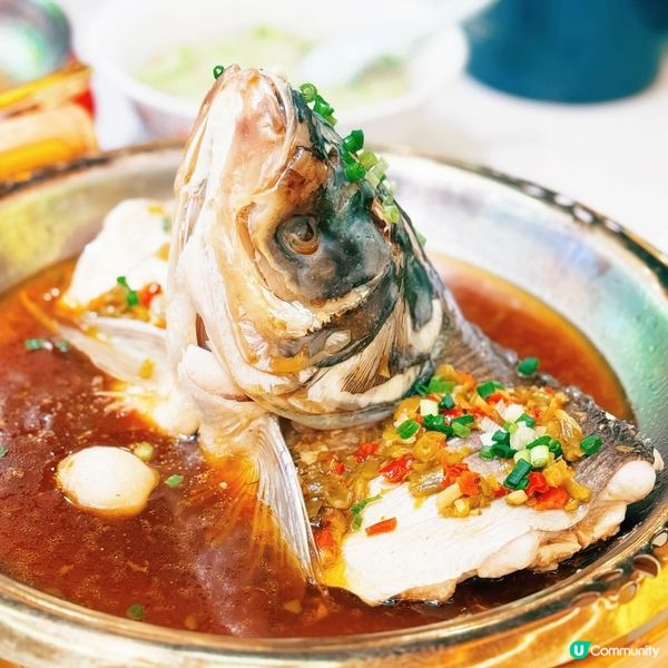 兆鑫匯金廣場新開張🎉 食乜好？😋