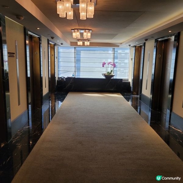 君悅酒店❤️ 完美慶祝週年！ 🎉