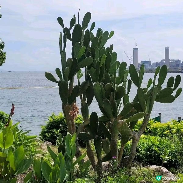 南丫島一日遊，放鬆身心 🏝️
