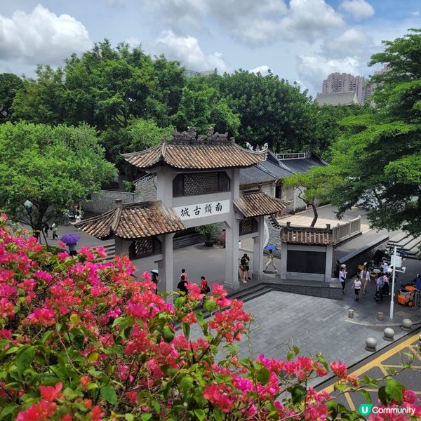 深圳古城探秘之旅 🏯🚶‍♀️