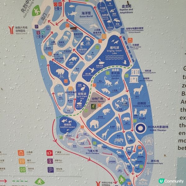 廣州動物園，動物天堂！🐘🐦🦁