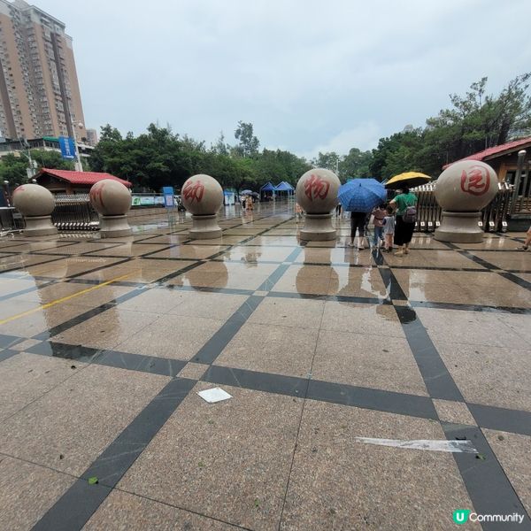 廣州動物園，動物天堂！🐘🐦🦁