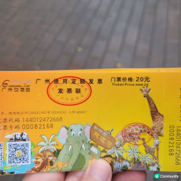 廣州動物園，動物天堂！🐘🐦🦁