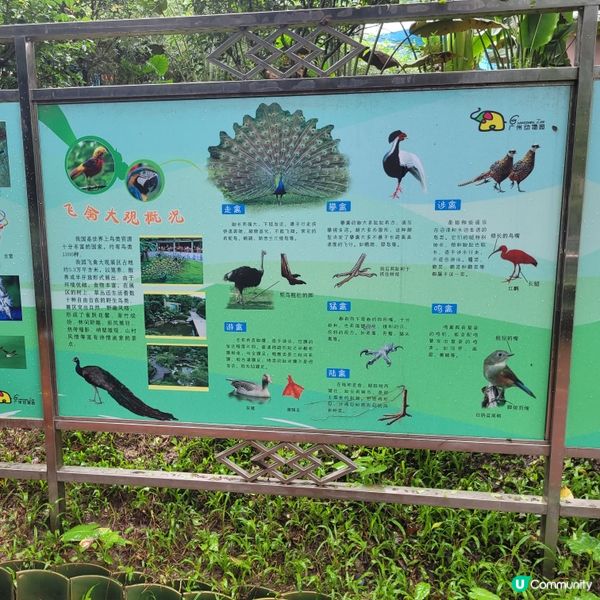 廣州動物園，動物天堂！🐘🐦🦁
