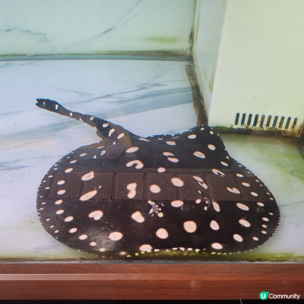 廣州動物園，動物天堂！🐘🐦🦁