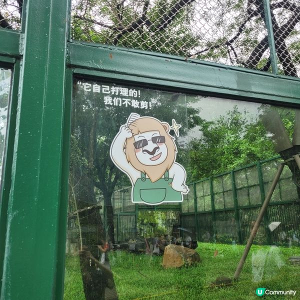 廣州動物園，動物天堂！🐘🐦🦁