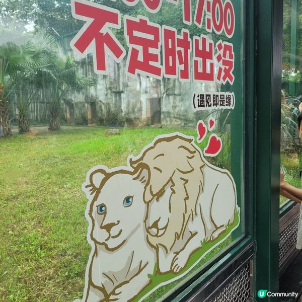 廣州動物園，動物天堂！🐘🐦🦁
