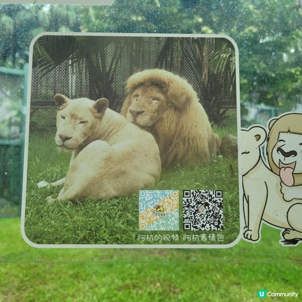 廣州動物園，動物天堂！🐘🐦🦁