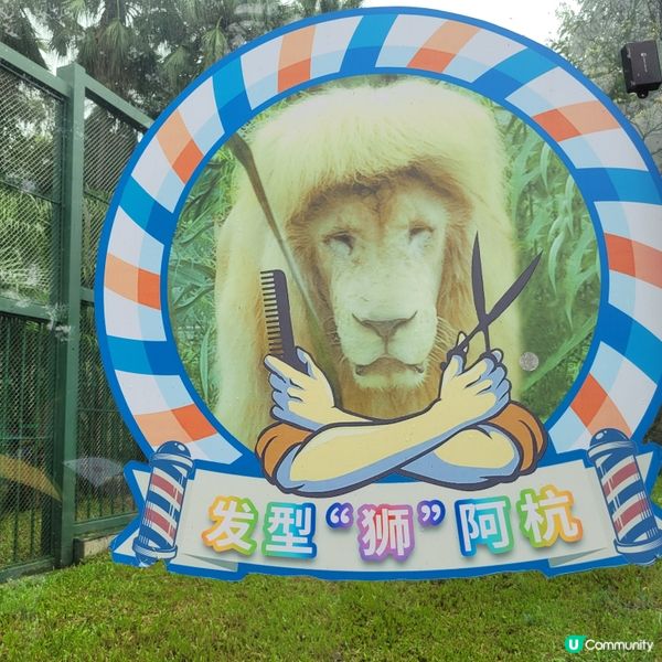 廣州動物園，動物天堂！🐘🐦🦁