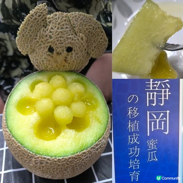 Bless T字網紋蜜瓜