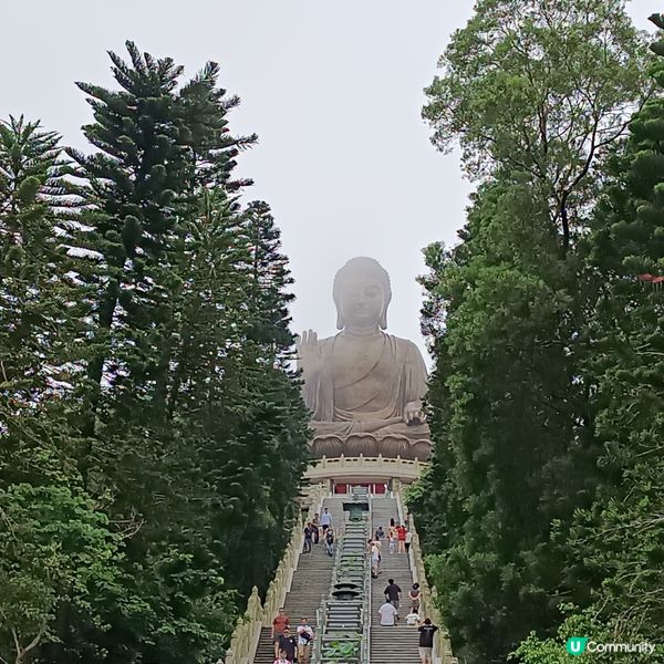 暑假遊大嶼山，讓小朋友抖抖氣！