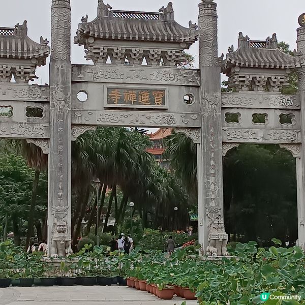 暑假遊大嶼山，讓小朋友抖抖氣！