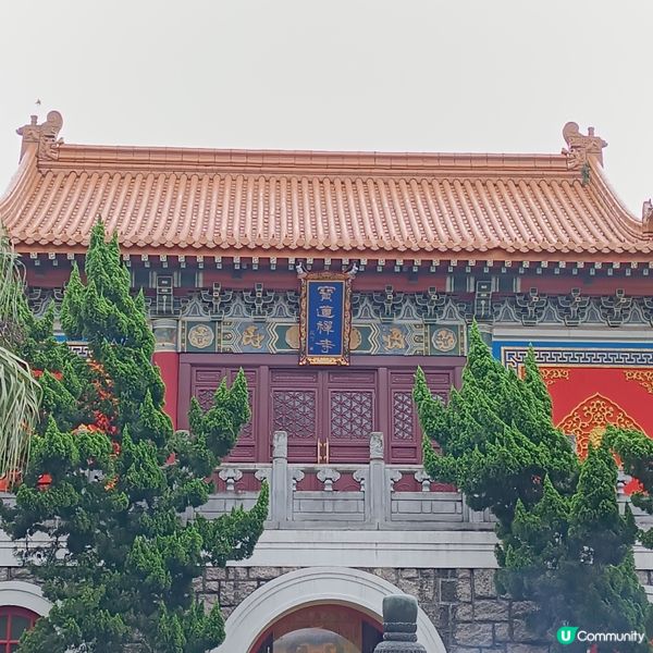 暑假遊大嶼山，讓小朋友抖抖氣！