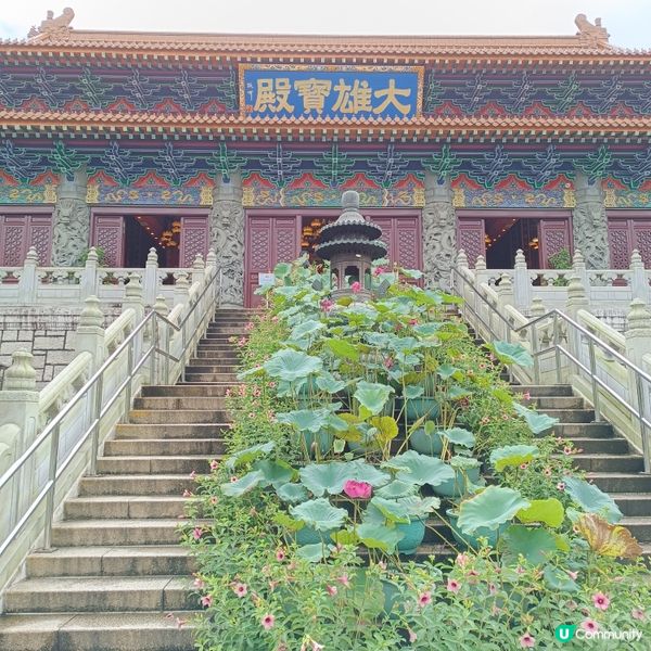 暑假遊大嶼山，讓小朋友抖抖氣！