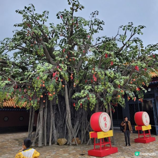 天壇大佛，香港必去！🤩